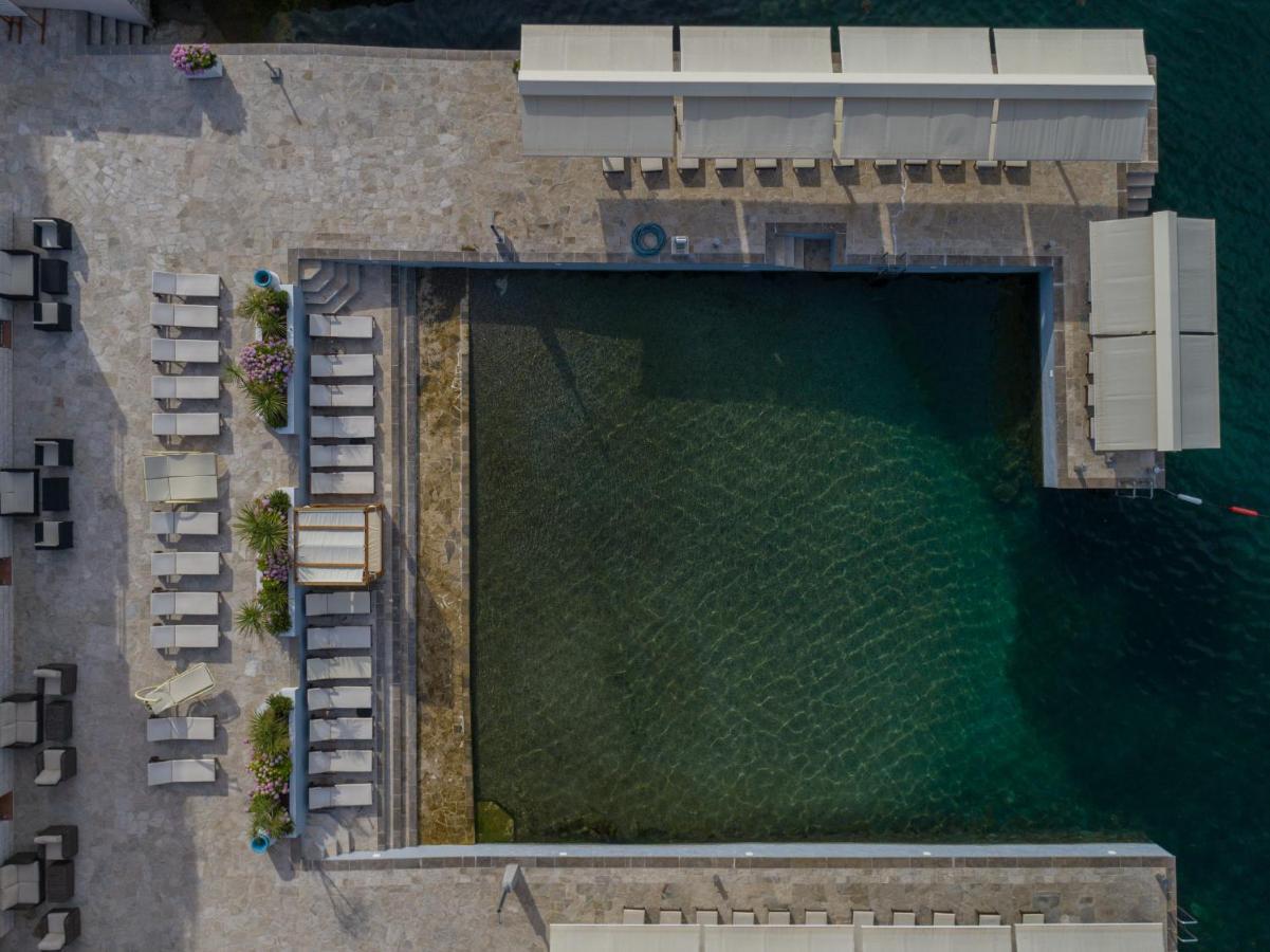 Adeona Tivat
